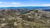 "Roseneath" Roseneath Road, Watsons Creek, NSW 2355-Image