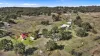 "Roseneath" Roseneath Road, Watsons Creek, NSW 2355-Image
