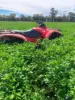 Rosewood Aggregation/7033 The Gipps Way, Condobolin NSW 2877-Image