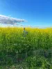 Rosewood Aggregation 7033 The Gipps Way, Condobolin, NSW 2877-Image