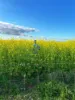 Rosewood Aggregation/7033 The Gipps Way, Condobolin NSW 2877-Image