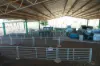 Rosewood Aggregation 7033 The Gipps Way, Condobolin, NSW 2877-Image