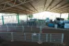 Rosewood Aggregation/7033 The Gipps Way, Condobolin NSW 2877-Image