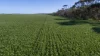 'Rudds' Allotment 81 Ardrossan Road, Maitland, SA 5573-Image