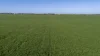 'Rudds' Allotment 81 Ardrossan Road, Maitland, SA 5573-Image