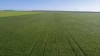 'Rudds' Allotment 81 Ardrossan Road, Maitland, SA 5573-Image