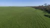 'Rudds' Allotment 81 Ardrossan Road, Maitland, SA 5573-Image