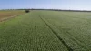 'Rudds' Allotment 81 Ardrossan Road, Maitland, SA 5573-Image