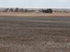 S496 James Road, Kulpara, SA 5552-Image