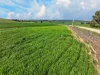 'Schumachers Range' Weichert Road, Bethel SA 5373-Image