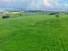 'Schumachers Range' Weichert Road, Bethel SA 5373-Image