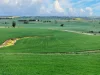 'Schumachers Range' Weichert Road, Bethel SA 5373-Image