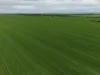 Sec 545 & Sec 554 Wayside Road, Kainton, SA 5552