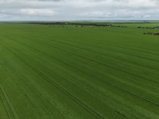 Sec 545 & Sec 554 Wayside Road, Kainton, SA 5552