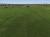 Sec 545 & Sec 554 Wayside Road, Kainton, SA 5552-Image
