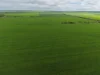 Sec 545 & Sec 554 Wayside Road, Kainton, SA 5552-Image