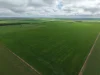 Sec 545 & Sec 554 Wayside Road, Kainton, SA 5552-Image