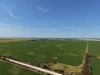 Section 239 Beare Road, Kadina SA 5554-Image