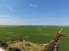 Section 239 Beare Road, Kadina SA 5554-Image
