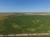 Section 239 Beare Road, Kadina SA 5554-Image