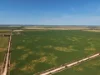 Section 239 Beare Road, Kadina SA 5554-Image