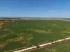 Section 239 Beare Road, Kadina SA 5554-Image