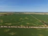 Section 239 Beare Road, Kadina SA 5554-Image