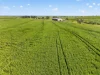 'Sharpes Well' Ireland Road, Mundoora SA 5555-Image