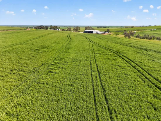'Sharpes Well' Ireland Road, Mundoora SA 5555-Image