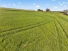 'Sharpes Well' Ireland Road, Mundoora SA 5555-Image