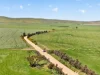 'Sharpes Well' Ireland Road, Mundoora SA 5555-Image