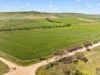 'Sharpes Well' Ireland Road, Mundoora SA 5555-Image