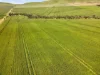 'Sharpes Well' Ireland Road, Mundoora SA 5555-Image