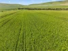 'Sharpes Well' Ireland Road, Mundoora SA 5555-Image
