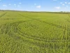 'Sharpes Well' Ireland Road, Mundoora SA 5555-Image