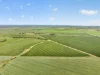 'Sharpes Well' Ireland Road, Mundoora SA 5555-Image