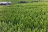 'Sharpes Well' Ireland Road, Mundoora SA 5555-Image