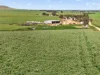'Sharpes Well' Ireland Road, Mundoora SA 5555-Image