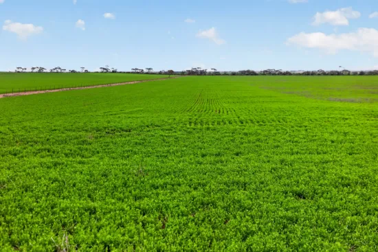 'Shepherds' Thomas Plains Road, Thrington, SA 5552