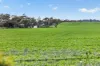 'Shepherds' Thomas Plains Road, Thrington, SA 5552-Image