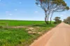 'Shepherds' Thomas Plains Road, Thrington, SA 5552-Image