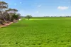 'Shepherds' Thomas Plains Road, Thrington, SA 5552-Image