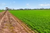 'Shepherds' Thomas Plains Road, Thrington, SA 5552-Image