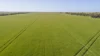 'Sims' Section 87N Rickaby Road, Minlaton, SA 5575-Image