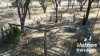 "Sixty-Two" Rennicks Road, Chinchilla, Qld 4413-Image