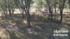 "Sixty-Two" Rennicks Road, Chinchilla, Qld 4413-Image