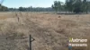 "Sixty-Two" Rennicks Road, Chinchilla, Qld 4413-Image