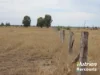 "Sixty-Two" Rennicks Road, Chinchilla, Qld 4413-Image