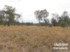 "Sixty-Two" Rennicks Road, Chinchilla, Qld 4413-Image