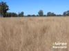 "Sixty-Two" Rennicks Road, Chinchilla, Qld 4413-Image